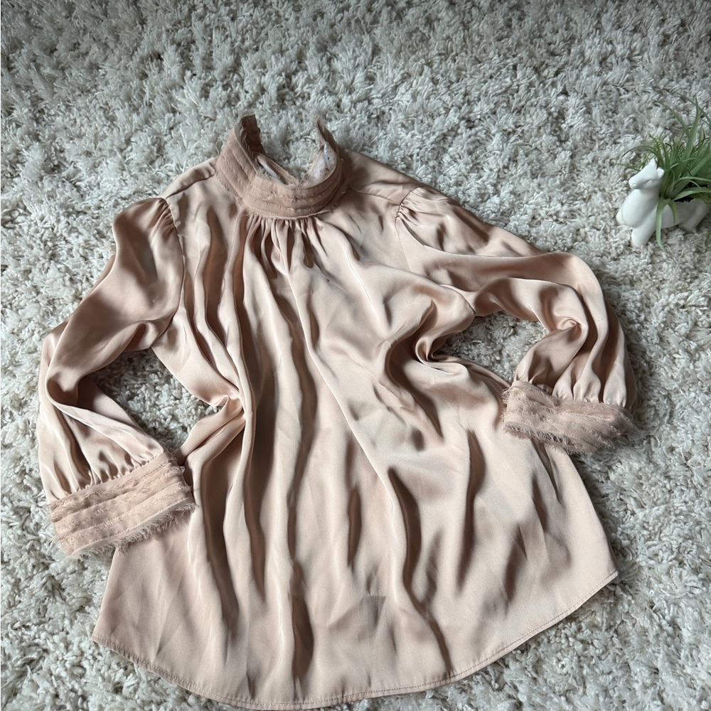 Zara Women's unique ruffled vintage flowing elegant Blouse in Soft Pink
